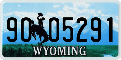 WY license plate 9005291