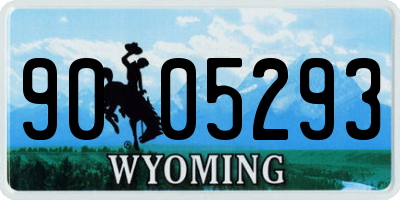 WY license plate 9005293