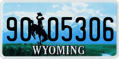 WY license plate 9005306