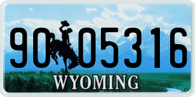 WY license plate 9005316