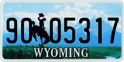 WY license plate 9005317