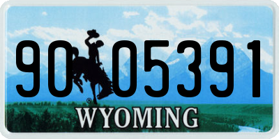 WY license plate 9005391