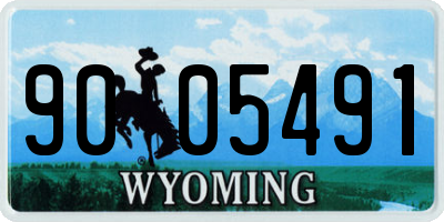 WY license plate 9005491