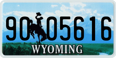 WY license plate 9005616