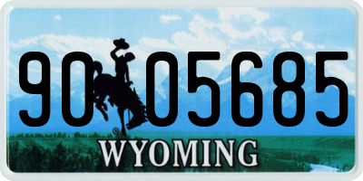 WY license plate 9005685