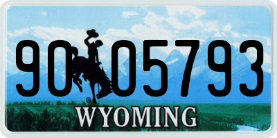 WY license plate 9005793