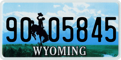 WY license plate 9005845