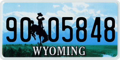 WY license plate 9005848