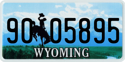 WY license plate 9005895