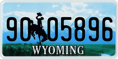 WY license plate 9005896