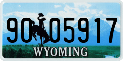 WY license plate 9005917