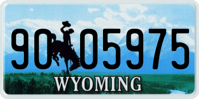WY license plate 9005975