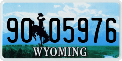WY license plate 9005976