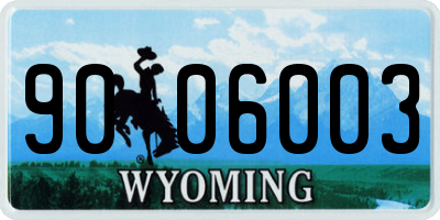 WY license plate 9006003