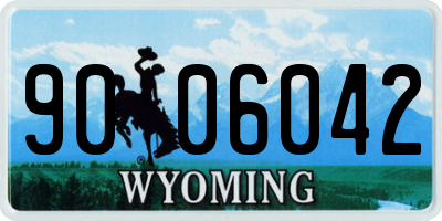 WY license plate 9006042
