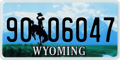 WY license plate 9006047