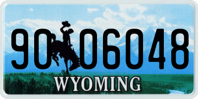 WY license plate 9006048