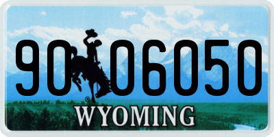 WY license plate 9006050