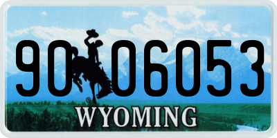 WY license plate 9006053