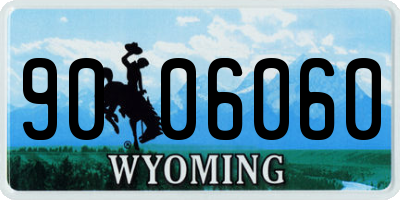 WY license plate 9006060