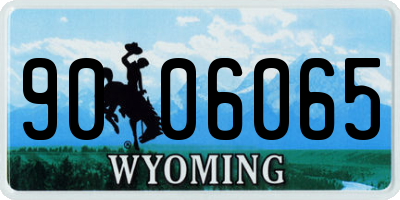 WY license plate 9006065