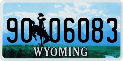 WY license plate 9006083