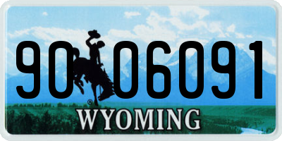WY license plate 9006091