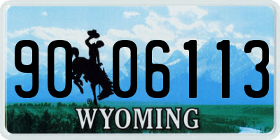 WY license plate 9006113