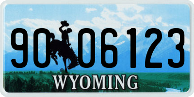 WY license plate 9006123
