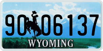 WY license plate 9006137