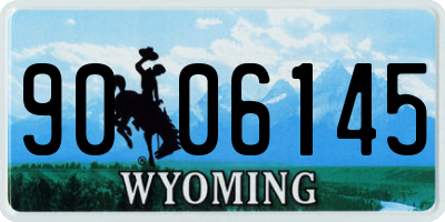 WY license plate 9006145