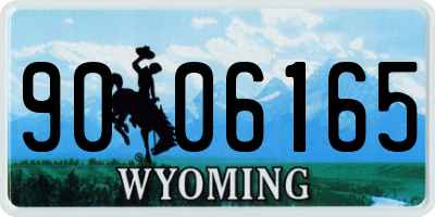 WY license plate 9006165