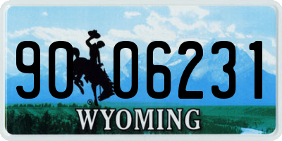 WY license plate 9006231
