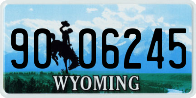 WY license plate 9006245