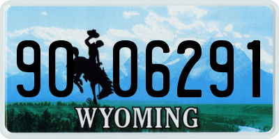 WY license plate 9006291