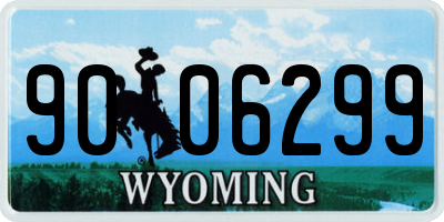 WY license plate 9006299