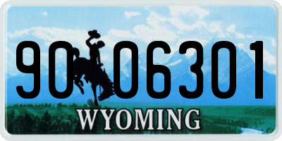 WY license plate 9006301