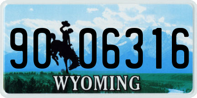 WY license plate 9006316