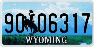 WY license plate 9006317