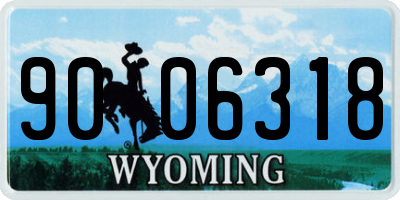 WY license plate 9006318