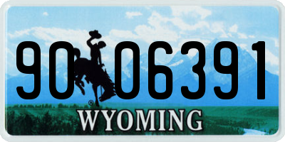 WY license plate 9006391
