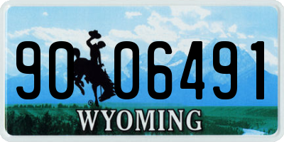WY license plate 9006491