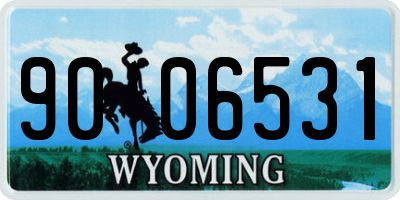 WY license plate 9006531