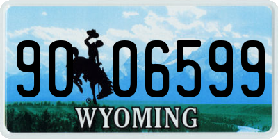 WY license plate 9006599
