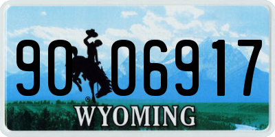 WY license plate 9006917