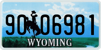 WY license plate 9006981