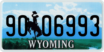 WY license plate 9006993