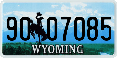 WY license plate 9007085