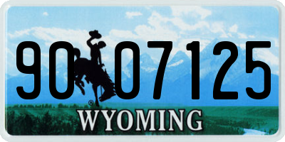 WY license plate 9007125