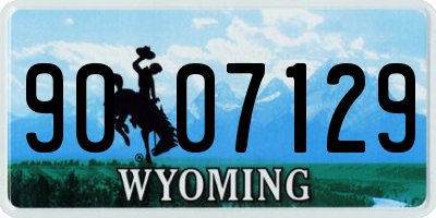 WY license plate 9007129